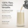 Whey Protein Concentrate – 27g Protein, BCAAs, Probiotics & Digestive Enzymes for Clean Muscle Recovery